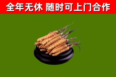 恭城县烟酒回收冬虫夏草.jpg